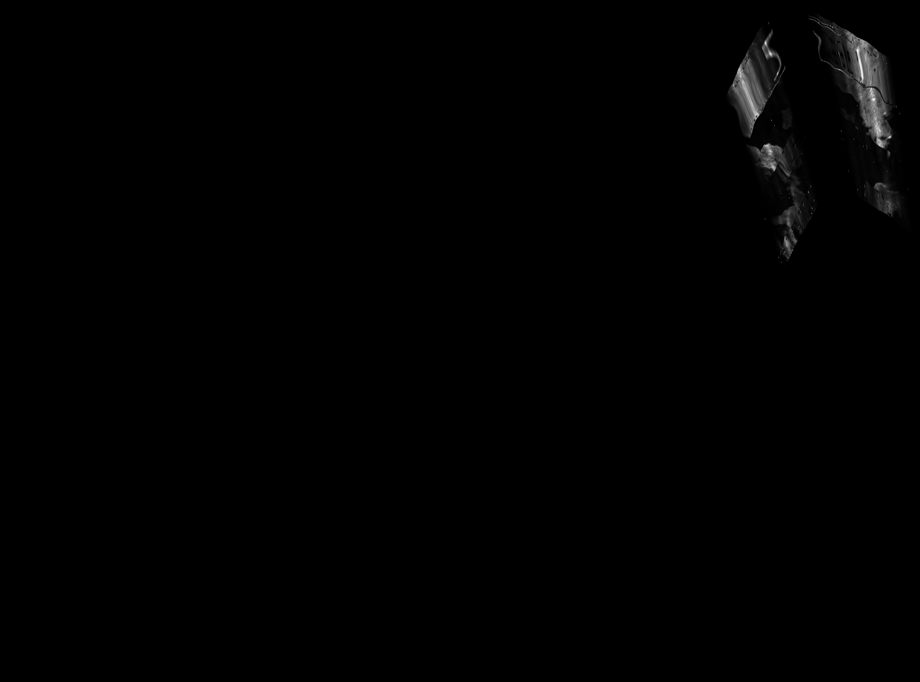 ascat_grayscale_proj_backward.png